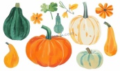 清新秋季南瓜合集矢量插画