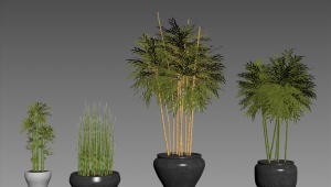 绿色植物盆栽模型效果图