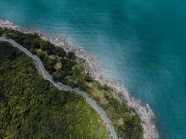 蓝色海湾公路树林图片