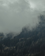 雾气缭绕深山野林图片