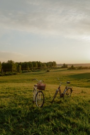 草地上的两辆自行车图片