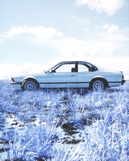 冬季枯草地汽车图片