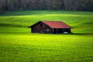 绿草地上的小木屋图片