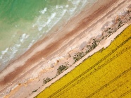 海岸沙滩海水图片
