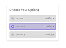 5款CSS3选项框单选按钮样式