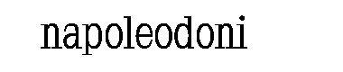 Napoleodoni字体