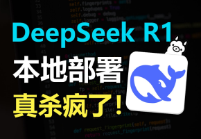 AI界的超级黑马—DeepSeek-R1本地部署！