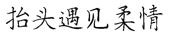 抬头遇见柔情字体