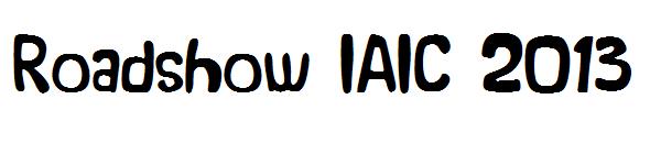 Roadshow IAIC 2013字体