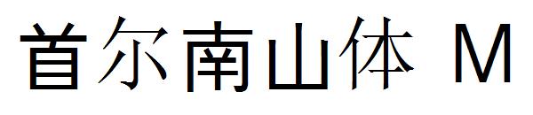 首尔南山体 M字体