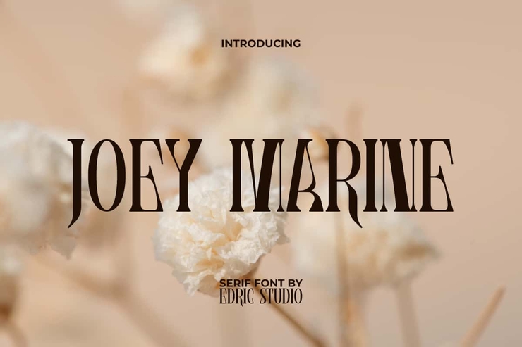 joey marine 1