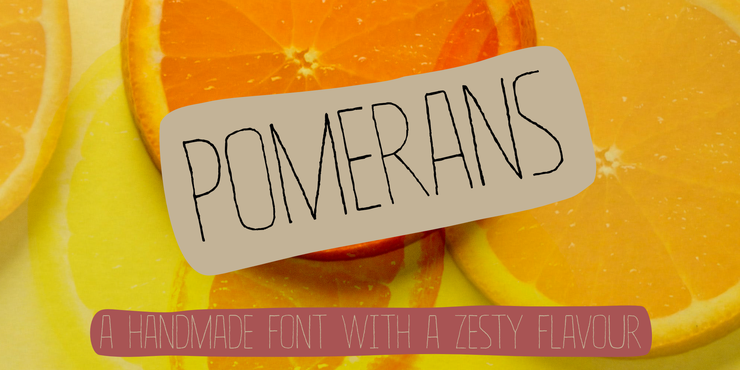 pomerans 1