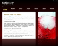酒红色网站模板flash动画