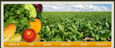 农业网站蔬菜flash片头素材