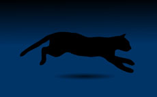 大黑猫奔跑flash矢量动画