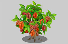 长满果实的树flash植物动画