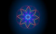 线条组成的花朵flash动画