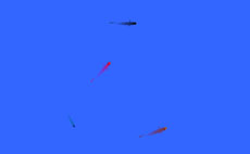鼠绘金鱼游动flash动画