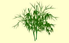 绿色的竹子flash动画