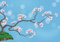 盛开的梅花flash动画