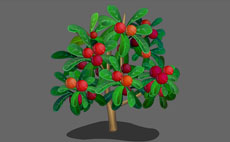 李子果树flash植物动画