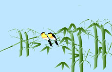 黄鹂鸟站在竹子上flash动画