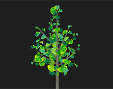 蚕桑树flash植物动画