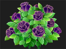 紫色玫瑰花flash矢量动画