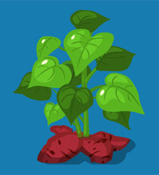 绿色的地瓜叶flash动画