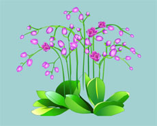 紫色花蕾植物flash动画