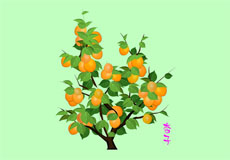 树上成熟的杏子flash动画