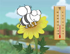 小蜜蜂与温度计flash动画