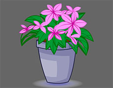 一盆花开植物flash动画