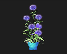 紫色鲜花盆景flash动画