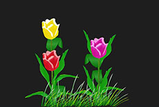 三种颜色的花flash动画