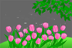 雨中的花朵flash动画