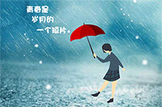 节日贺卡致青春flash动画
