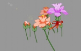 美丽花朵绽放flash动画