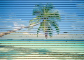 海边椰子树百叶窗flash动画