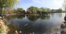 公园湖水花朵flash动画