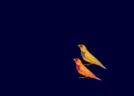 两只鸟叽叽喳喳flash动画