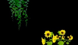 被风吹的向日葵与绿色藤蔓flash动画