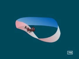 蚂蚁爬莫比乌斯圈flash动画