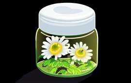 瓶子里的萤火虫和向日葵flash动画