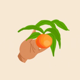 田园时光快乐采摘橘子flash动画