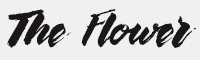 TheFlowerCity字体