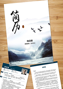 大雁翱翔整套简历模板