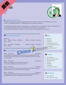 微软英文简历模板