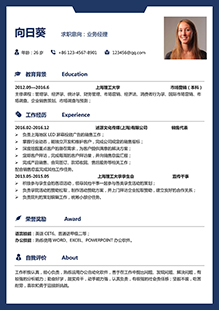 业务经理简历模板