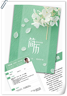 程序开发简历模板